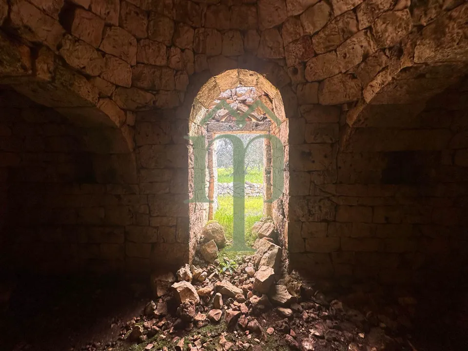 Ruin i Carovigno, Brindisi - bilde 2